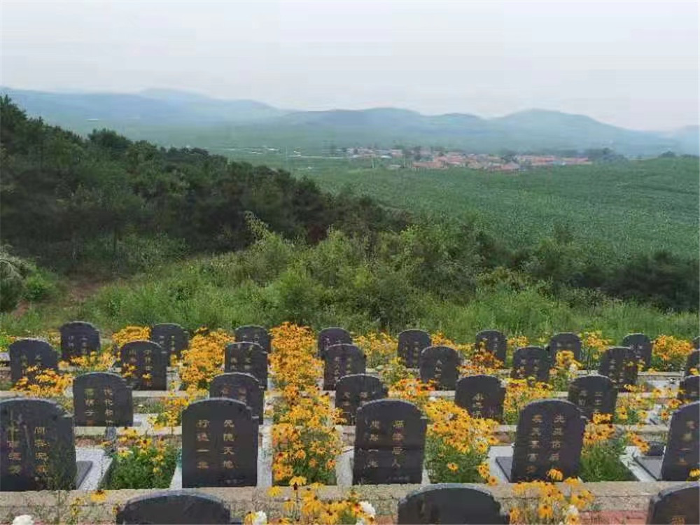 双龙山墓园