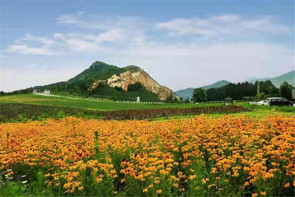 沈阳龙福山墓园