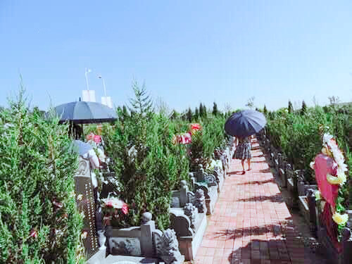 龙生墓园特价多多