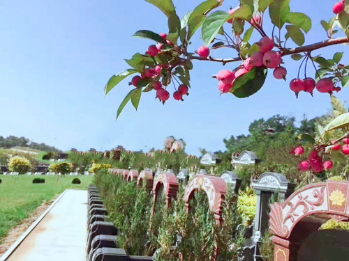 龙生墓园怎么走