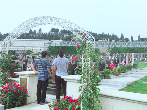 陶然墓园购墓接送