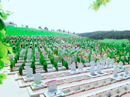 永乐青山墓园购墓接送