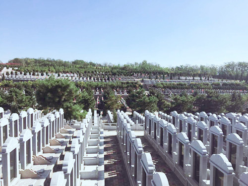 骏龙泉墓园购墓热线