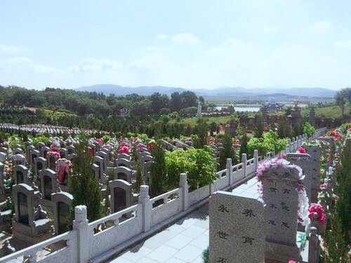 骏龙泉墓园特价活动
