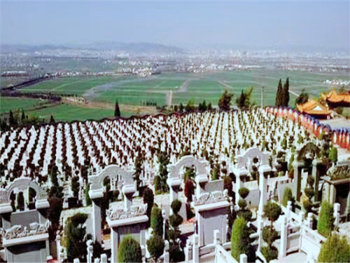 双龙山墓园购墓上门接送