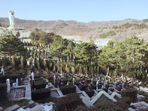 大河贝墓园购墓接送