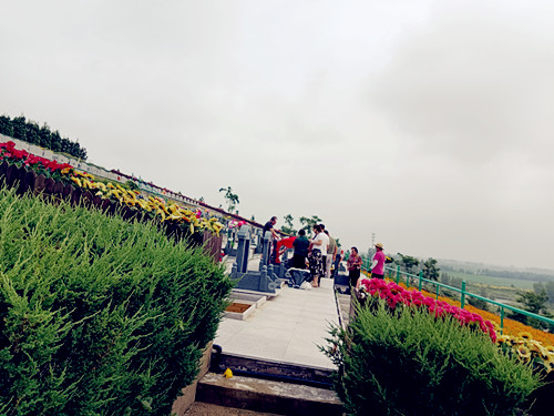 金楼祥苑墓园优势